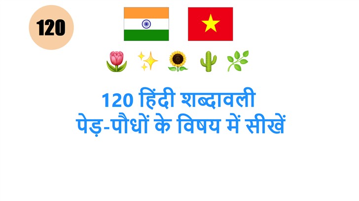 120 हिंदी शब्दावली: पेड़-पौधों के विषय में सीखें